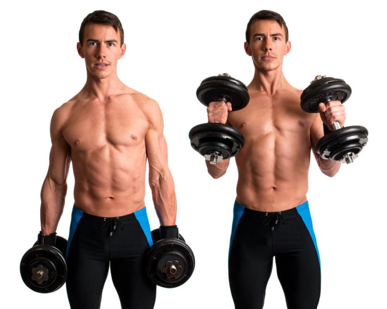 Hammer exercises How to pump up the brachialis Doctor Susan Evans