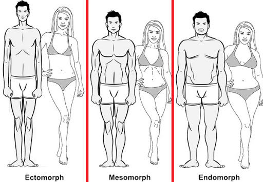 body types